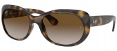 Ray-Ban RB4325 710/T5...