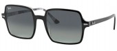 Ray-Ban RB1973 13183A...
