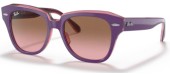 Ray-Ban RJ9186S 711814...