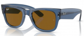 Ray-ban RB0840S 668073