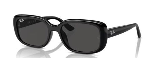 Ray-Ban RB4421D 667787