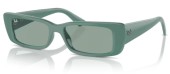 Ray-ban RB4425 676282 Teru