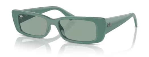 Ray-ban RB4425 676282 Teru