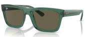 Ray-ban RB4396 6681/3 Warren