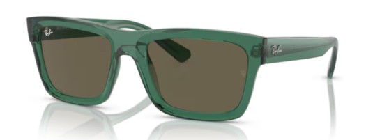 Ray-ban RB4396 6681/3 Warren