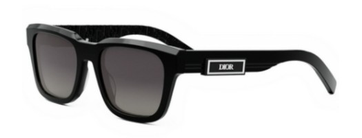 Dior DIORB23 S1I 10A0