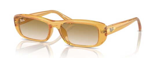 Ray-Ban RB4436D 668213