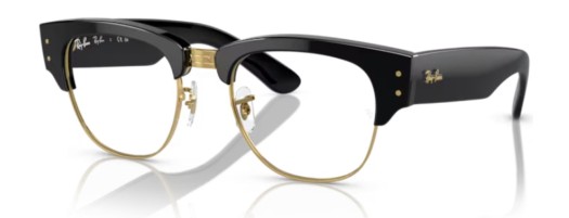 Ray-ban RX0316V 2000