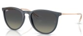 Ray-Ban RB4171 681311 Erika