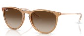 Ray-Ban RB4171 681413 Erika