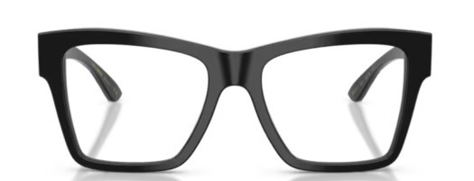 Dolce & Gabbana DG3411 501