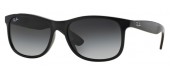 Ray-Ban RB4202 601/8G Andy